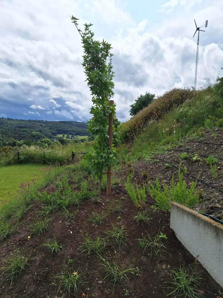 Plantation chantier Drolenval (2)