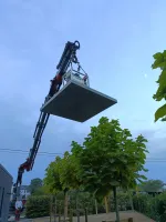 Chantier Nivezée Aménagement complet (24webp