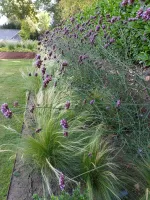 Chantier Nivezée Aménagement complet (27webp