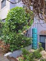 Chantier de ville Heusy (39)