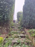 Chantier Sprimont 2 (24)